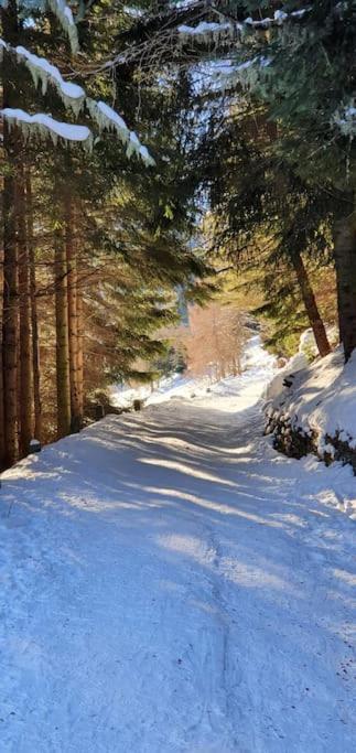 Residenza Sofia - Ponte Di Legno Fraz. Pezzo Villa Exterior foto